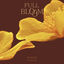 Cover Full Bloom
