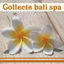Cover Collecte bali spa (Musique paisible pour le massage, Bien-être, Détendez-vous profondément, Bonne humeur, Total du rep