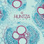 Cover Xilema