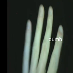 ''