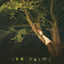 Cover 100 Poems