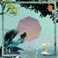 Cover Corals