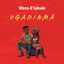 Cover Ogadinma (Remix)
