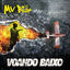 Cover Voando Baixo