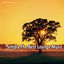 Cover Simply the Best Lounge Music