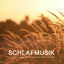 Cover Schlafmusik (Beruhigende Klänge zum Einschlafen bei Schlafstörungen)