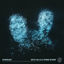 Cover Stardust