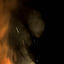 Cover wildfire