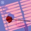 Cover Fiore