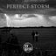 Cover Perfect Storm
