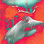 Cover Reflection