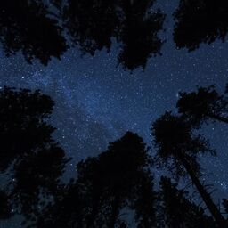''