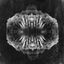 Cover Doomster