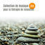 Cover Collection de musique zen pour la thérapie de relaxation - Lutter contre le stress, Détente, Bien-être, Anti-stress, Hatha yoga, P