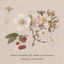 Cover Cherry Orchard
