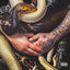 Cover AMBIZIONE