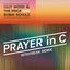Cover Prayer in C (Nitefreak Remix)