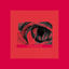 Cover Fragile