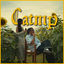 Cover Catnip