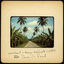 Cover Down Di Road