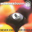 Cover Never Ever Ever Ever