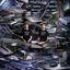 Cover FJAAK THE SYSTEM