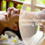 Cover International Luxury Spa, Vol. 1