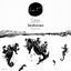 Cover Seahorses