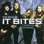 Cover Calling All The Heroes - The Best Of It Bites