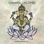 Cover Ganesha Puja