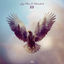 Cover Fly