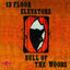 Cover Bull Of The Woods