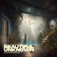 Cover Beautiful Unknown