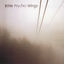 Cover Psycho Strings