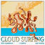 Cover Cloud Surfing