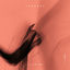 Cover Illusion