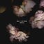 Cover ZERFALL