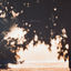 Cover Afterimage