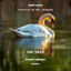 Cover The Carnival of the Animals, R. 125: XIII. The Swan