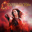 Cover Die Tribute von Panem - Catching Fire (Deluxe Edition)