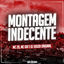 Cover Montagem Indecente