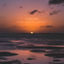 Cover Far Away Coast
