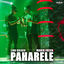 Cover Paharele