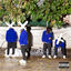 Cover angrylilaccidents