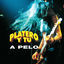 Cover A Pelo
