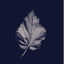 Cover Ordinary World
