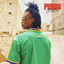 Cover PUNGU