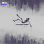 Cover Falling Down