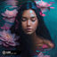 Cover Closer