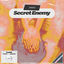 Cover Secret Enemy
